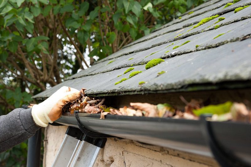 gutter cleaning in bucks county